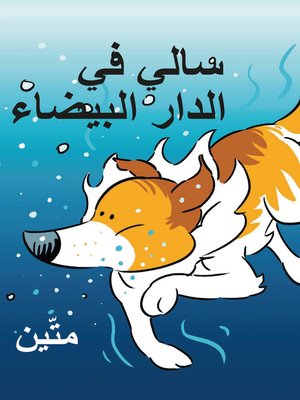 cover image of سالي في الدار البيضاء